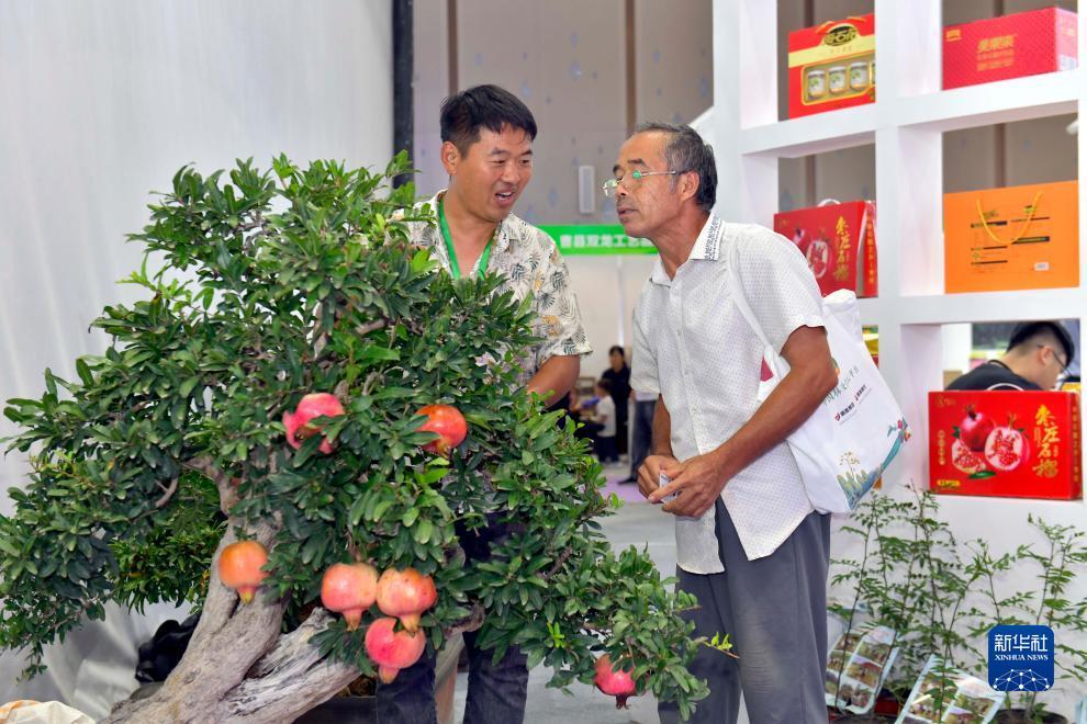 大同麻将游戏